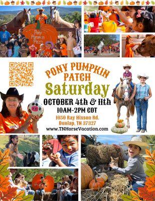 Each admission comes with all of the following farm fun:
- Pony Rides for kids 12 & under
- Live Interactive 'Hands On' Animal To