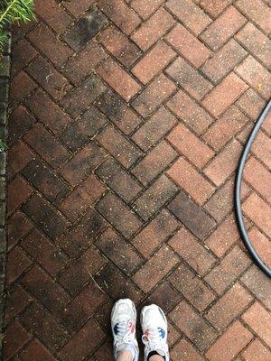 Nit Picky Handyman Service