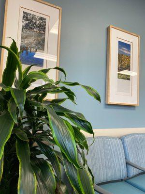 El Camino Urology Medical Group, Inc