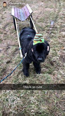 Country Heritage Farm