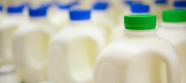 Law Office of Fadi Zanayed