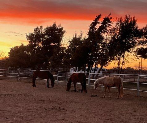 Sunset in Phelan at Shoestring City Ranch