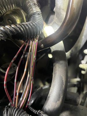 electrical short found