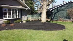 Clean N’ Green Lawn Services