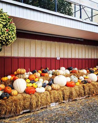 Cider Hill Farm