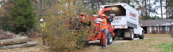 Casey Tree Experts
