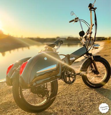 "Sail away from your safe harbor. Catch the trade winds in your sails. Explore! Dream! Discover!" Mark Twain