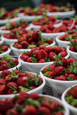Greensboro Farmers Curb Market