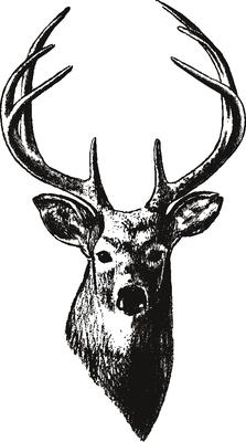 Deer Traders Inc