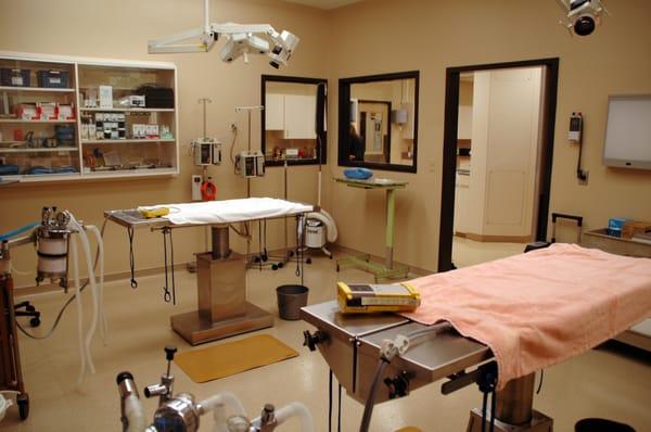Best Friends Veterinary Hospital