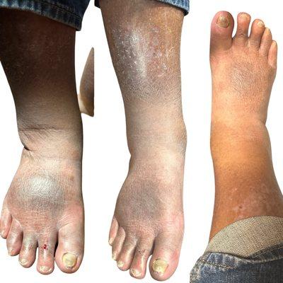 Elysian Contours Wellness and Recovery