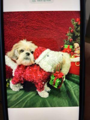 Just a little camera shy