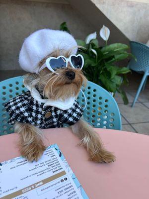 Lexi's petite pups boutique