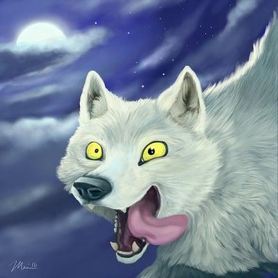 Maria DeCerce Illustration