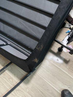 Osip Pest Management