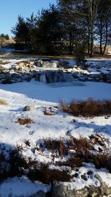 Pamela's Forget Me Not Bed & Breakfast