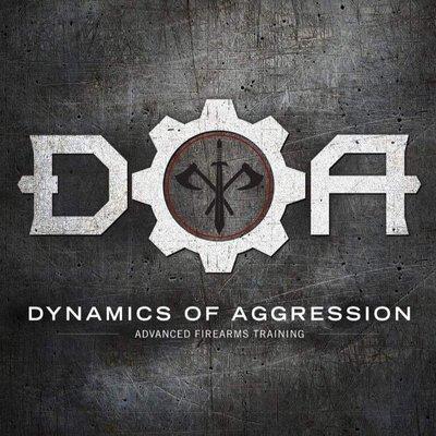 Dynamics of Aggression