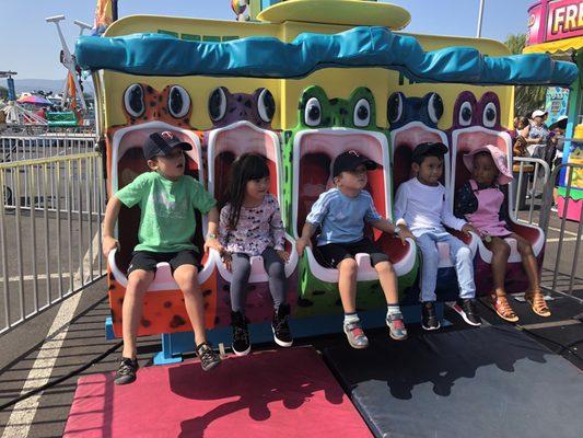 Fog City Summer Days