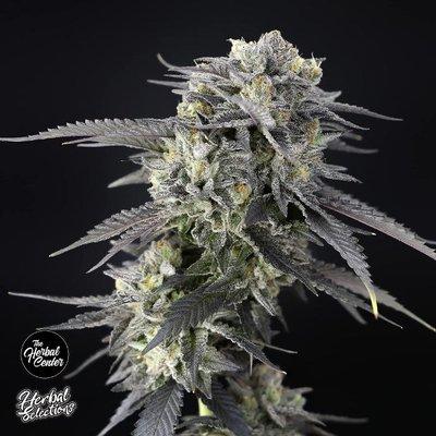 THC The Herbal Center - Peoria Crossing