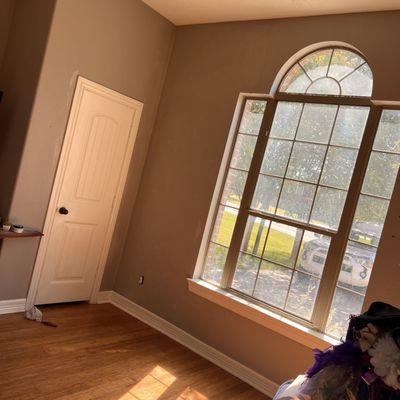 Marlenys Coco Professional Painting Services