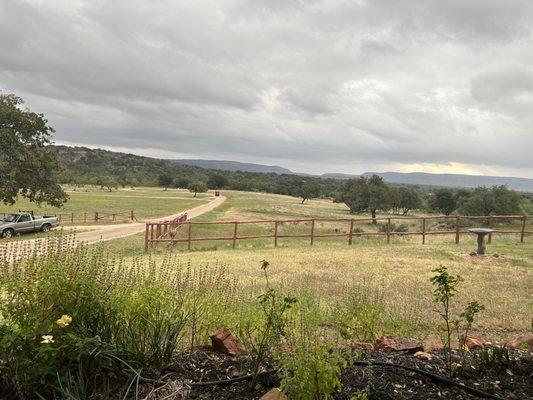 Phoenix Nest Guest Houses
