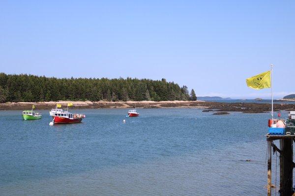 Cottonwood Camping & RV Park