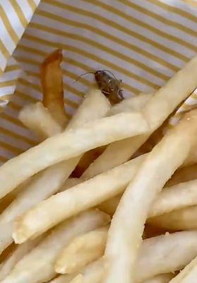 Basket of fries with roach