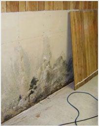 San Clemete Water Damage Services
