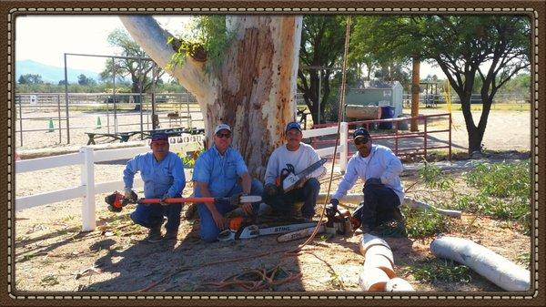 Green Leaf Solutions