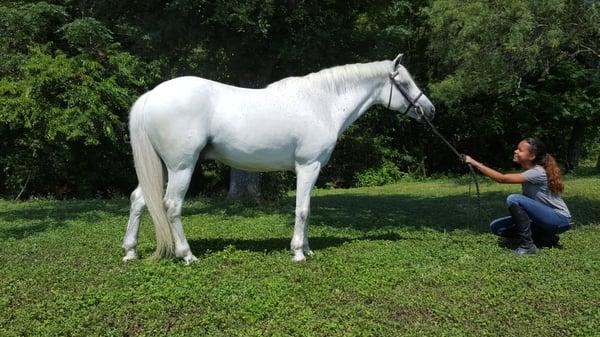 One of our cute ponies