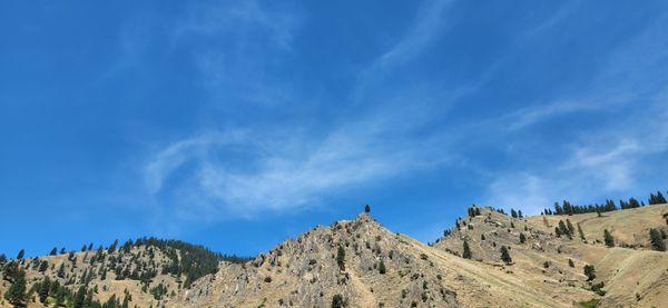 Salmon River Experience