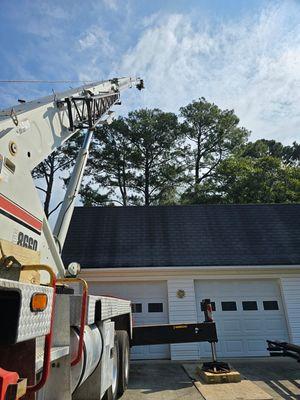 Molina's Tree Service