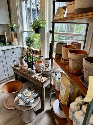 Cove Gallery