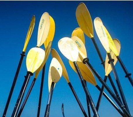 South by Southeast Tours