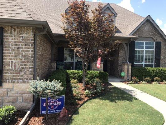 Rocky Terrain Landscape