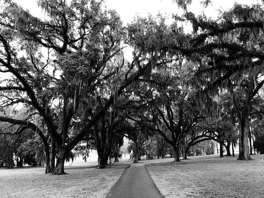 The Southwood House and Cottages