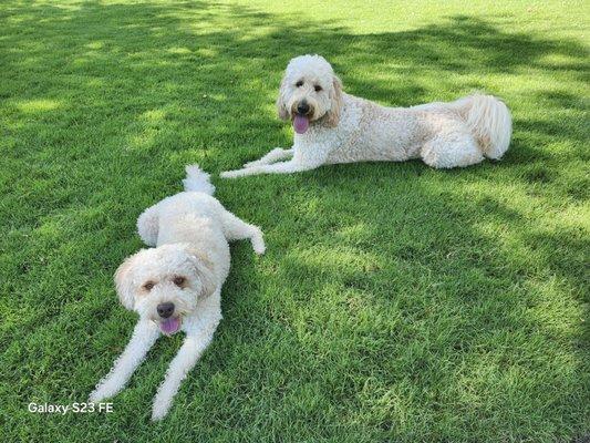 Lake Emma Animal Hospital