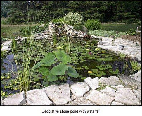 Ponds & Paradise