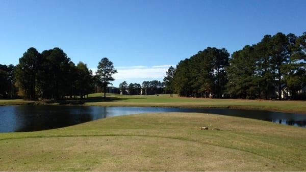 Lots of water hazards... 7 out of 9 holes...