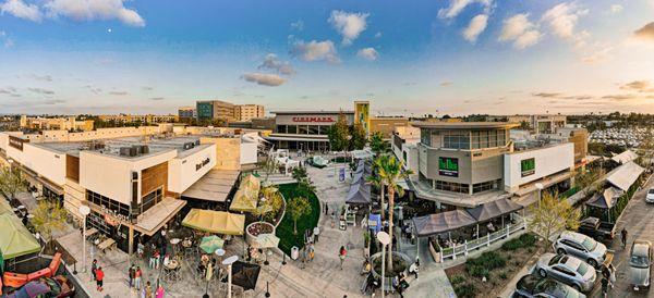 Moving Still Pictures Photography