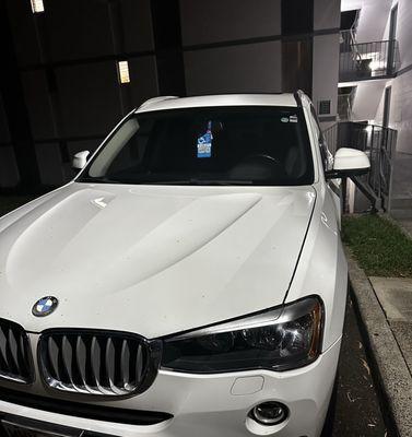 German Auto Specialists