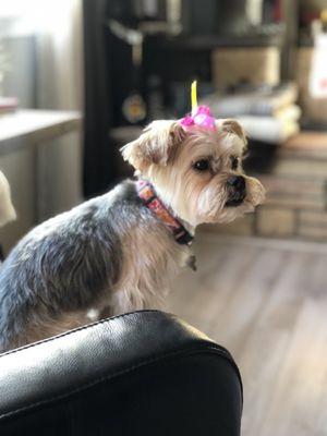 Hazel loves the bow in her hair!