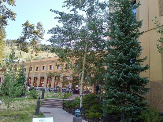 Dragon Head Convention Center. Enter at your own risk!