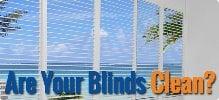 C & G Shine-A-Blind Ultrasonic Blind Cleaning