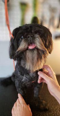 Kathie's Doggie Detailing