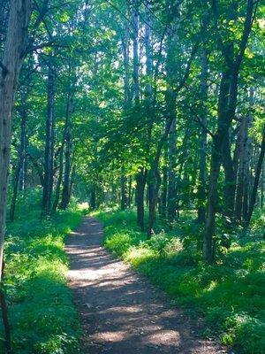 Arcola Bluffs Day Use Area