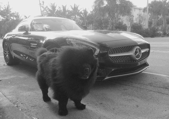 King & Son Motorcars