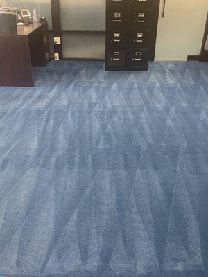 All Carpet Cleaning