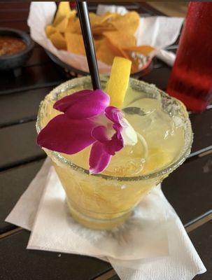 WhiteSands Alcohol & Drug Rehab Palm Harbor