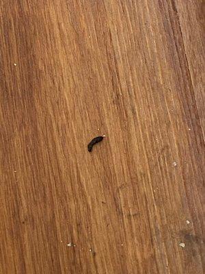 West Winds Apartments